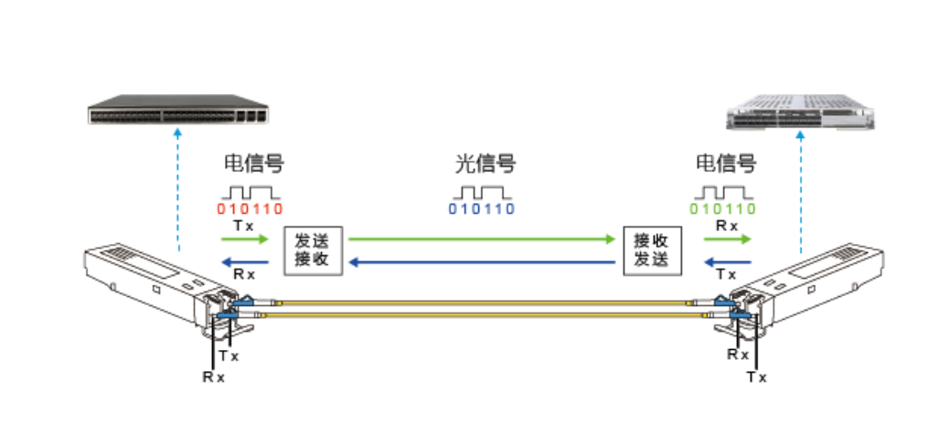 【科普】光？榈闹饕钢制骷的特征与光？榉庾扒逑醇两樯